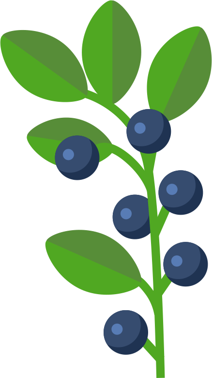 Blueberry Level Donors