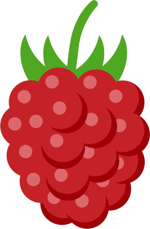 Raspberry Donor Level